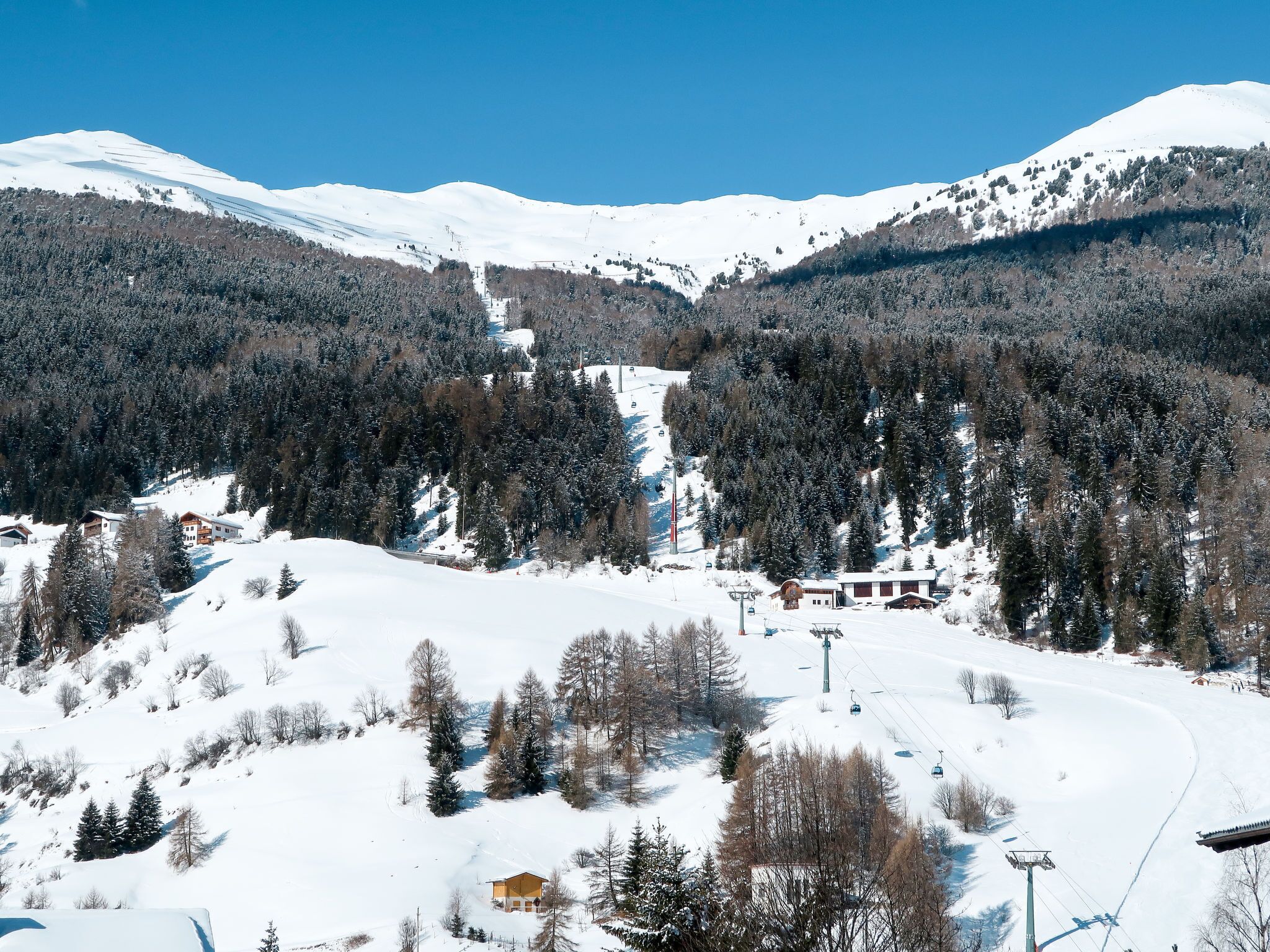 Sneeuw- en skisporten