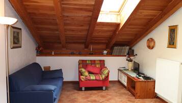 Fernseher