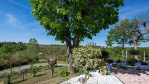 Un jardin aménagé avec un grand arbre, un chemin recouvert de gravier blanc et une vue sur un village situé au loin.