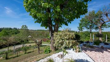 Un jardin aménagé avec un grand arbre, un chemin recouvert de gravier blanc et une vue sur un village situé au loin.