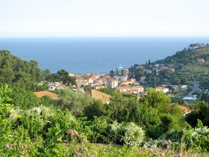 Vista aérea
