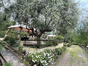 A garden area with a wooden bench, a pergola, and a pathway.
