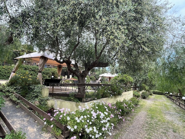 A garden area with a wooden bench, a pergola, and a pathway.