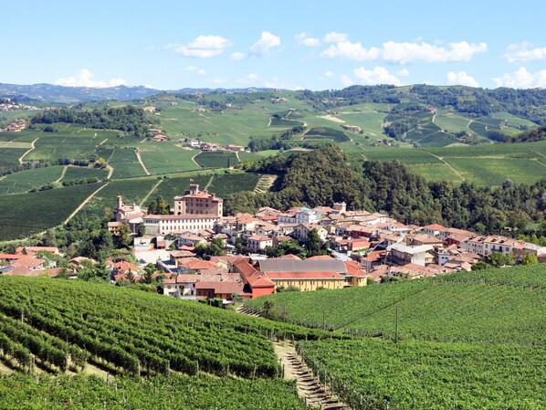 Un pueblo con viñedos y edificios históricos.