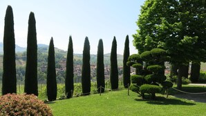 A well-maintained garden with neatly trimmed hedges and a variety of trees, including tall cypress trees and a large, rounded tree.