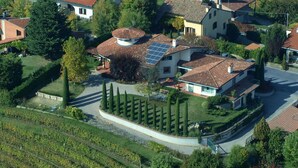 A residential area with houses, a vineyard, and a solar panel installation.