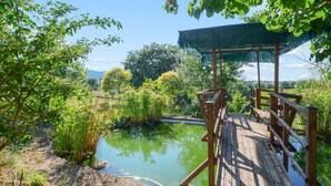 Eine Holzterrasse mit einer Pergola mit Blick auf einen Teich, der von üppigem Grün umgeben ist.