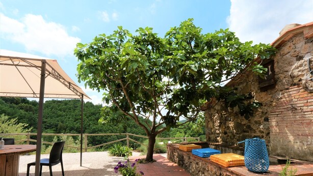 An outdoor patio with a table and chairs, a pergola, a tree, and a stone wall. - Pian dei Carpini - Laura by Interhome (Prata)