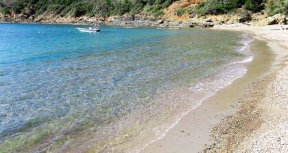 Fougère by Interhome