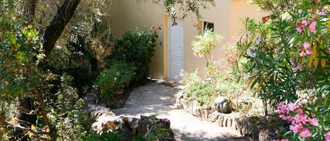 A stone pathway leading to a yellow building with a white door, surrounded by lush greenery and flowering plants.