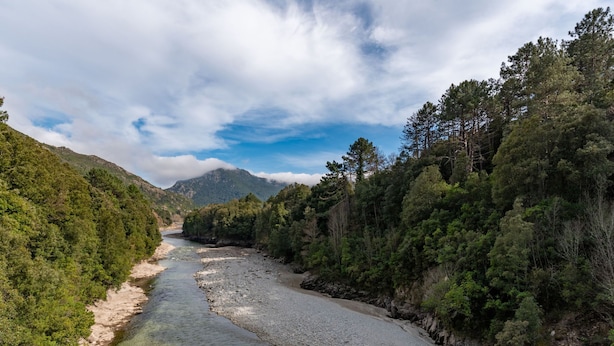 Un río serpentea por un valle boscoso con montañas al fondo.