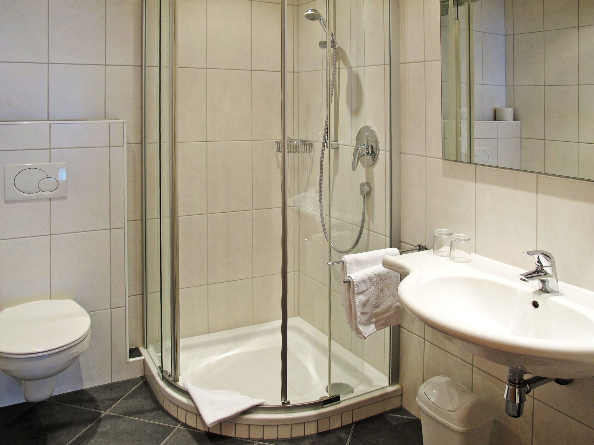 Une salle de bain avec une douche à parois de verre, des toilettes blanches et un lavabo avec un miroir.