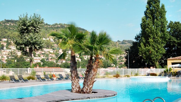 A swimming pool with a wooden deck, palm trees, and lounge chairs.