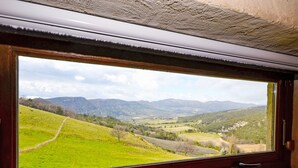 Ein Fenster mit Blick auf eine grüne Landschaft und Berge.