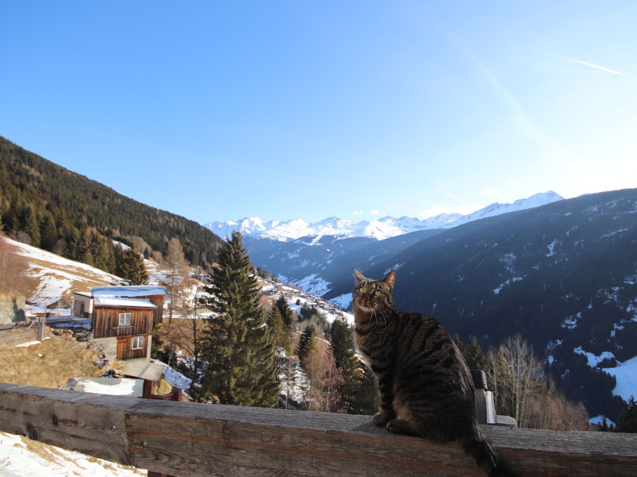 A cat sitting on a wooden railing overlooking a mountainous landscape with snow-covered peaks and a small village below.
