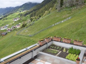 Área da propriedade