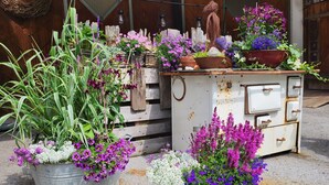 A rustic outdoor setting with a vintage white metal cabinet filled with various potted plants and flowers. - Michael by Interhome (Kappl)
