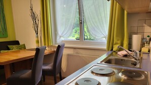 A compact kitchen with a gas stove, a sink, and a window with curtains. - Michael by Interhome (Kappl)