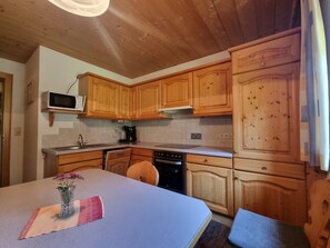 Fridge, microwave, oven, dishwasher - Apart Ladner by Interhome (Kappl)