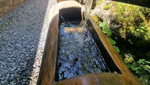 Een landelijke waterpartij buiten, met een houten bak, omringd door grind en begroeiing, die leidt naar een gebouw met een gele gevel.
