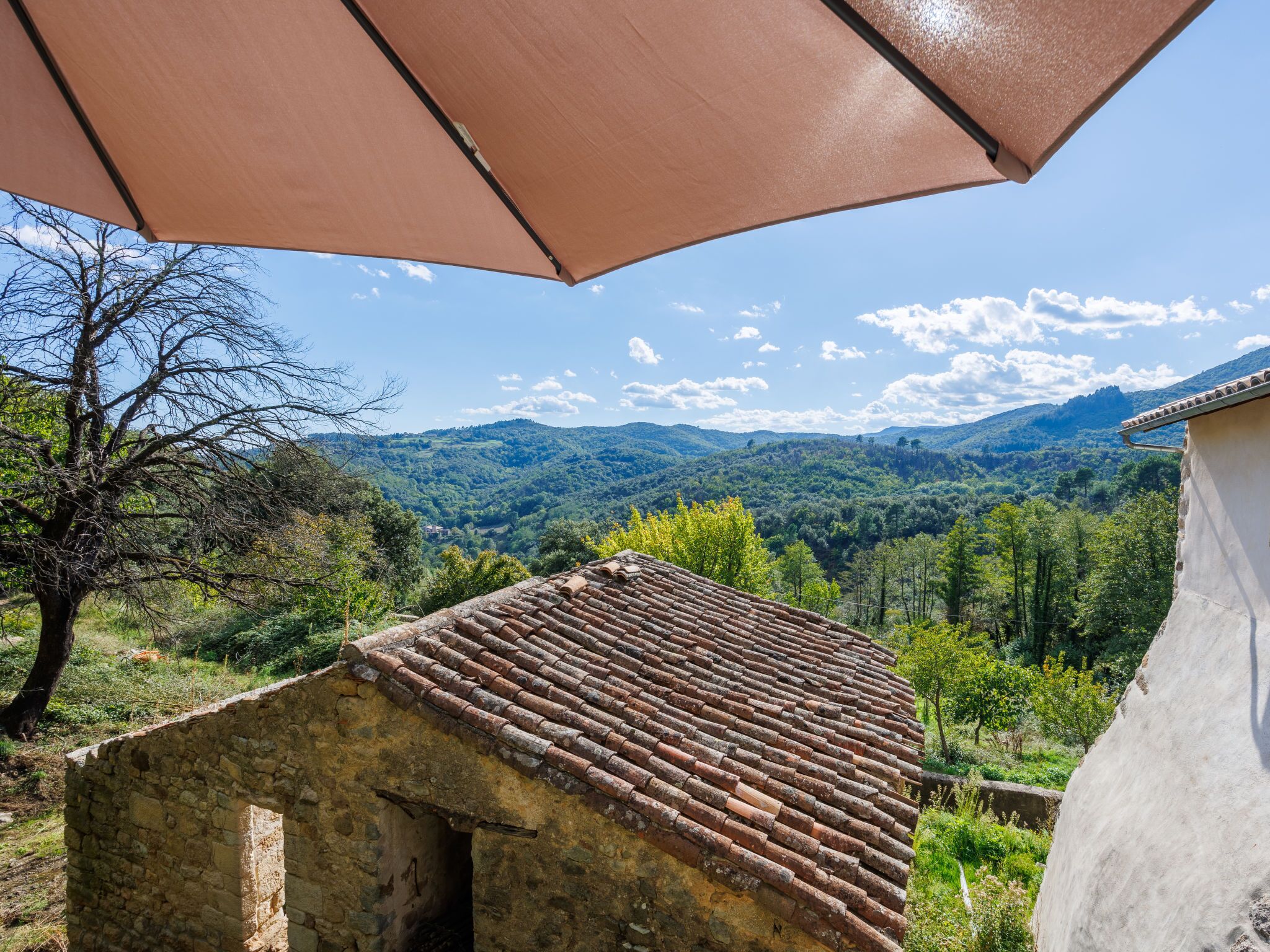 Vista desde la propiedad