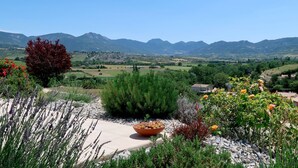 A garden with a variety of plants, a large bowl, and a view of distant mountains. - Les Hauts de Jallia by Interhome (Nyons)