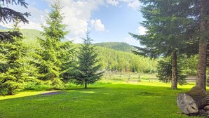 Ein grünes Feld mit Bäumen und einem Berg im Hintergrund.