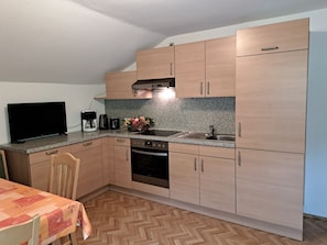 Fridge, oven, dishwasher, cookware/dishes/utensils