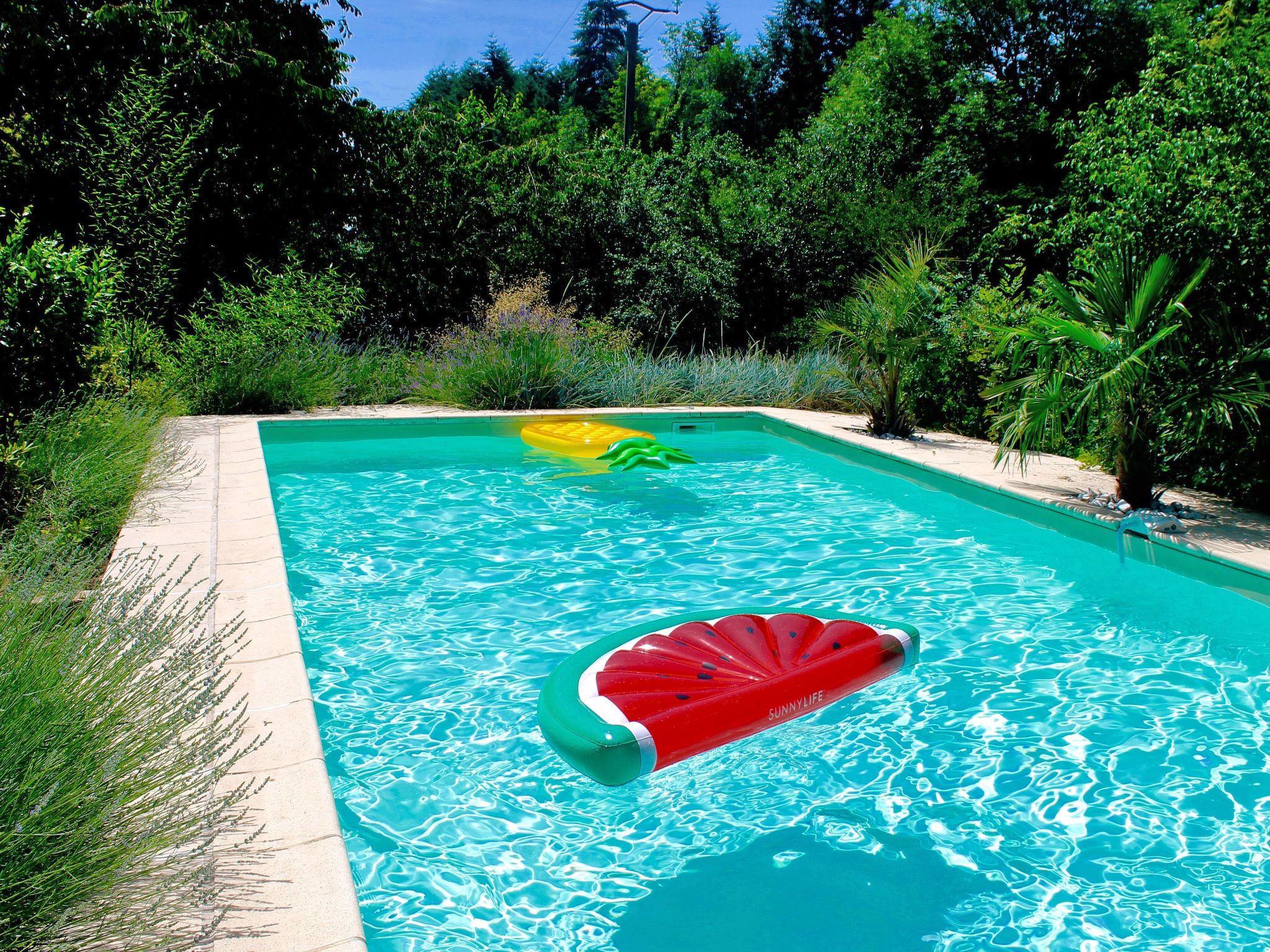 Une piscine rectangulaire à l’eau d’un bleu cristallin, entourée d’une végétation luxuriante et bordée d’une plage de sable.