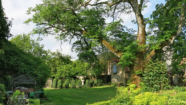 A lush garden with a variety of plants and a stone structure.