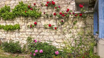 Detalle exterior