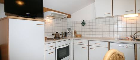 Fridge, oven, dishwasher, cookware/dishes/utensils