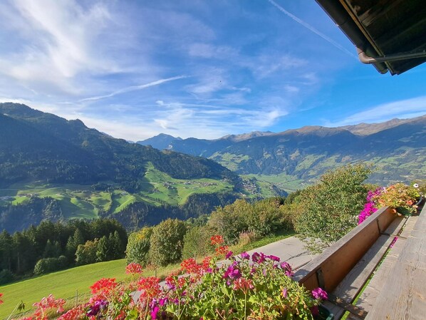 Property grounds - Alpenblick by Interhome (Zell am Ziller)