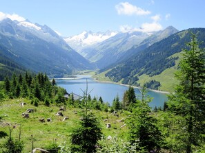 A mountainous landscape with a lake, forested areas, and scattered trees. - Vacation home Ragusa by Interhome (Zell am Ziller)