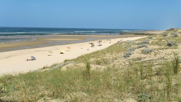A wide sandy beach with people and umbrellas, a clear sky, and dunes in the foreground.
