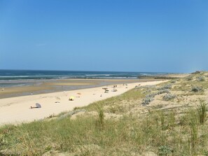 Une vaste plage de sable où l’on voit des gens et des parasols, un ciel dégagé et des dunes au premier plan.
