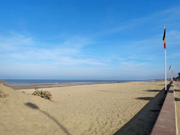 Vlak bij het strand