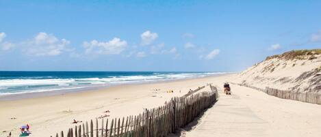 Strand