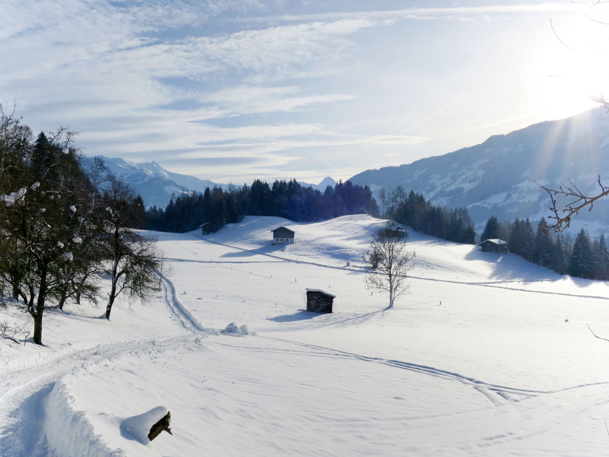 Paisagem coberta de neve com alguns edifícios e árvores.
