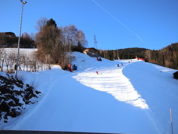 Snø- og skisport