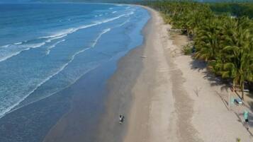 Una playa con una vista despejada del océano y una fila de palmeras.