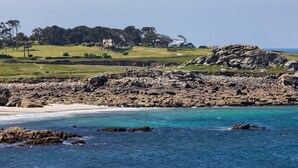 Un paisaje costero con un litoral rocoso, una zona cubierta de hierba con árboles y una vista despejada del océano.