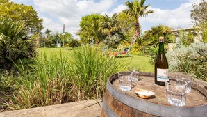 A wooden barrel with a bottle of Cidre de Vignes and glasses, set in a lush garden with a clear sky. - Valhalla, chez Jules by Interhome (Planguenoual)