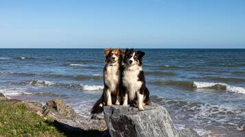 Playa en los alrededores