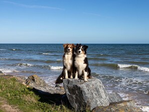 Beach nearby - Chez Lilo by Interhome (Saint Laurent-sur-Mer)