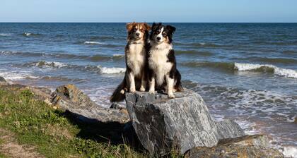 Chez Lilo by Interhome