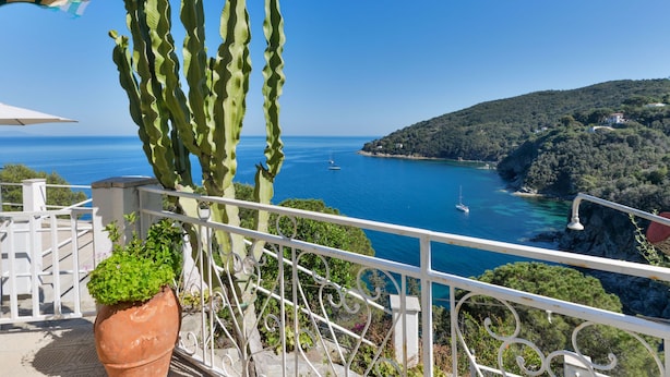 A balcony with a large cactus, a potted plant, and a view of the sea and a hilly landscape. - Baroccia da Mary by Interhome (Rio Marina)