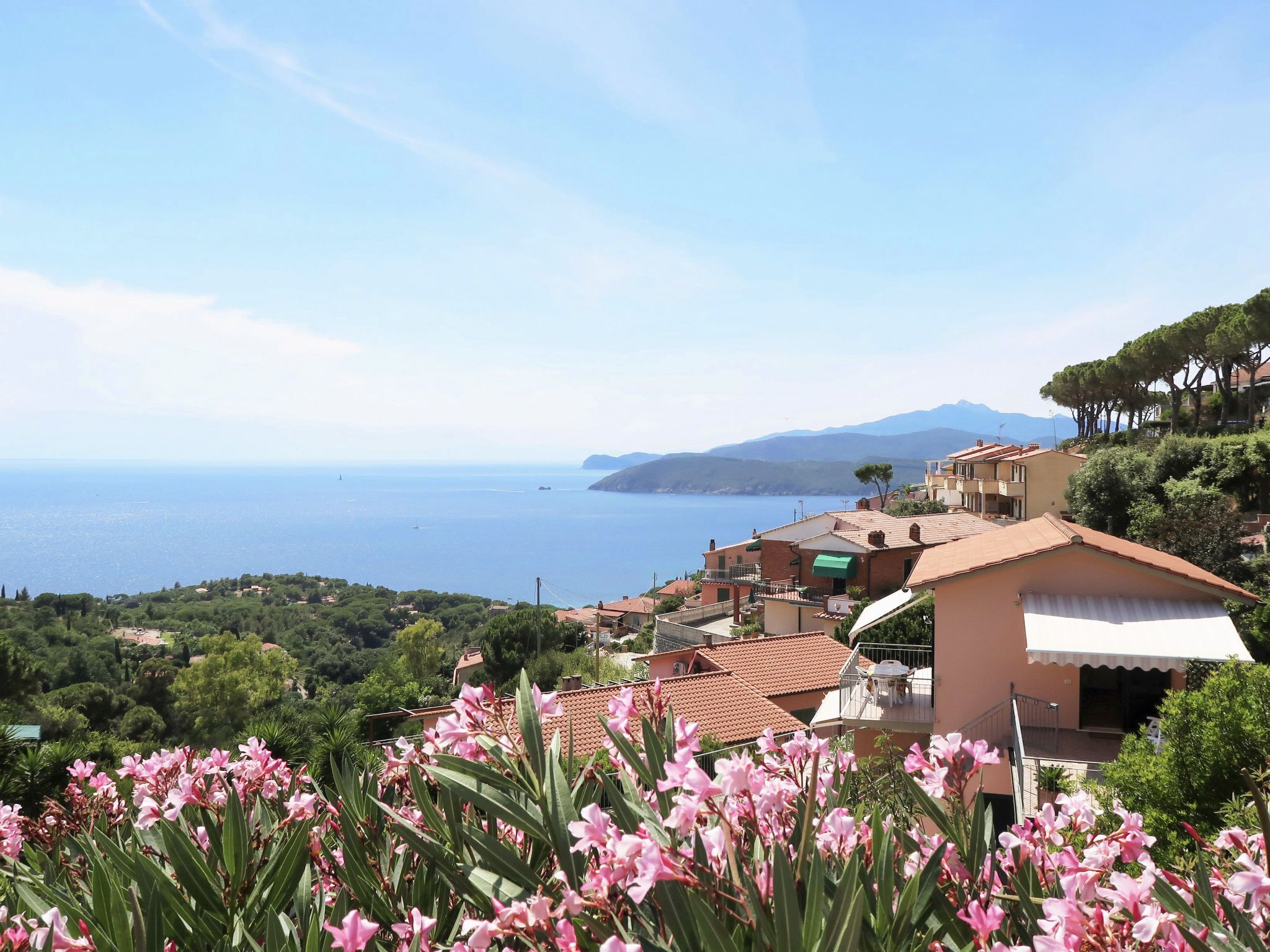 施設からの眺望