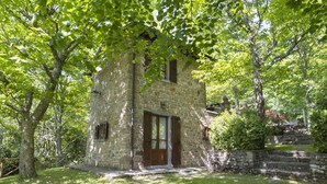 Un edificio de piedra con puerta de madera, rodeado de abundante vegetación y árboles.