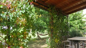 Une terrasse couverte avec une table et des chaises, entourée de verdure et agrémentée d’un hamac.